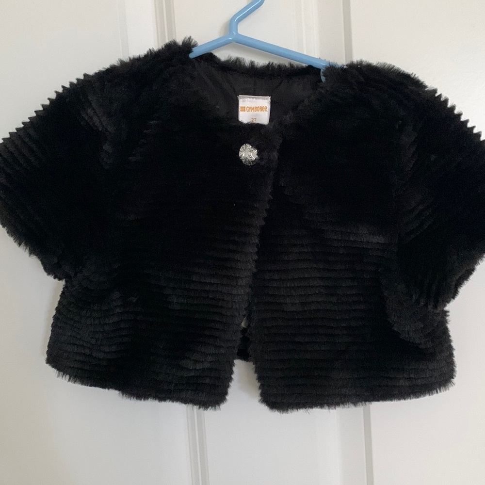 Dressy Gymboree Jacket 2T